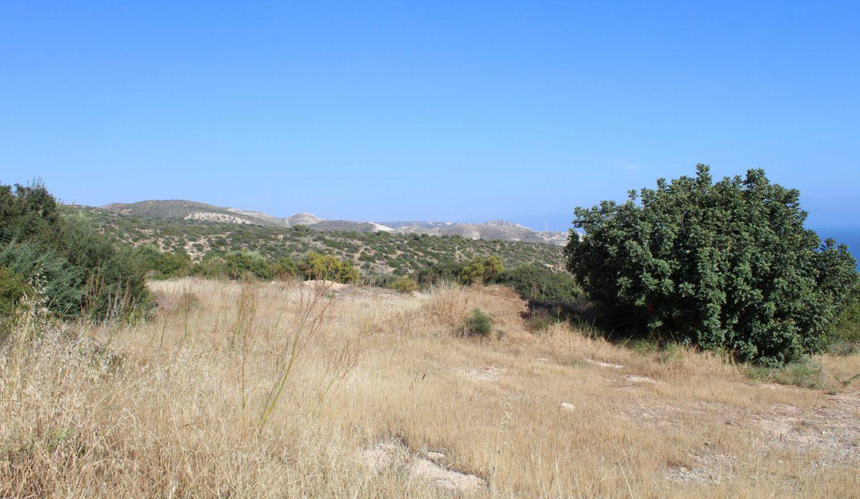 Plot For Sale - Eastern Plateau, Aphrodite Hills, Paphos: ID 618 06 - ID 618 - Comark Estates