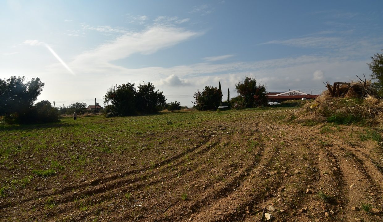 Land For Sale - Anogyra Village, Limassol: ID 734 03 - ID 734 - Comark Estates