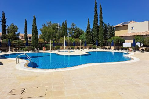 Adonis Pool