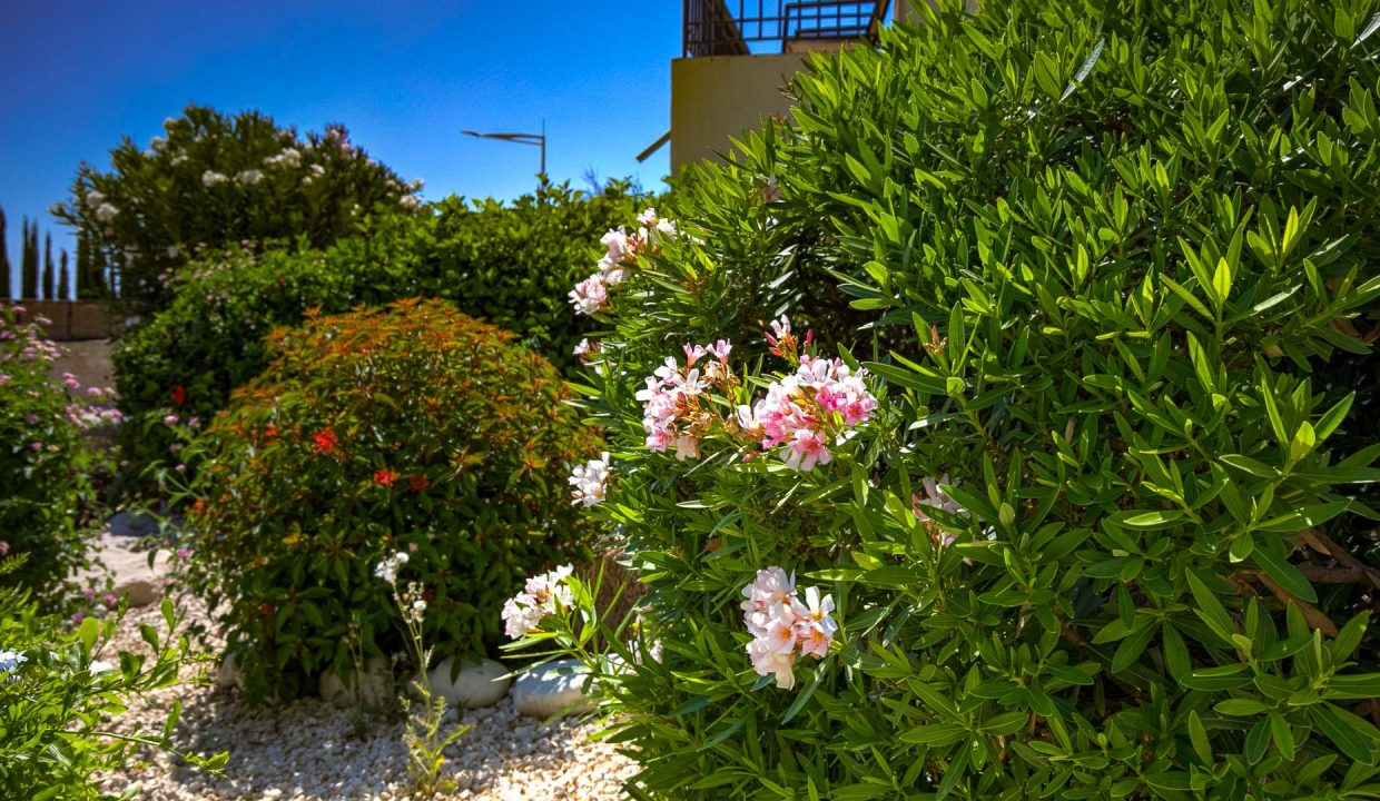 2 Bedroom Townhouse For Sale - Kouklia Village, Paphos: ID 1062 22 - ID 1062 - Comark Estates