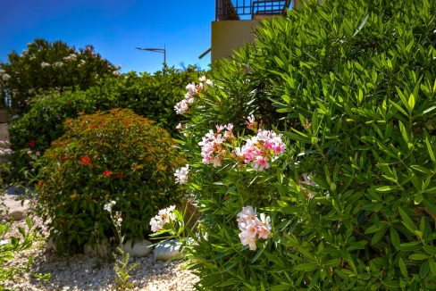 2 Bedroom Townhouse For Sale - Kouklia Village, Paphos: ID 1062 22 - ID 1062 - Comark Estates