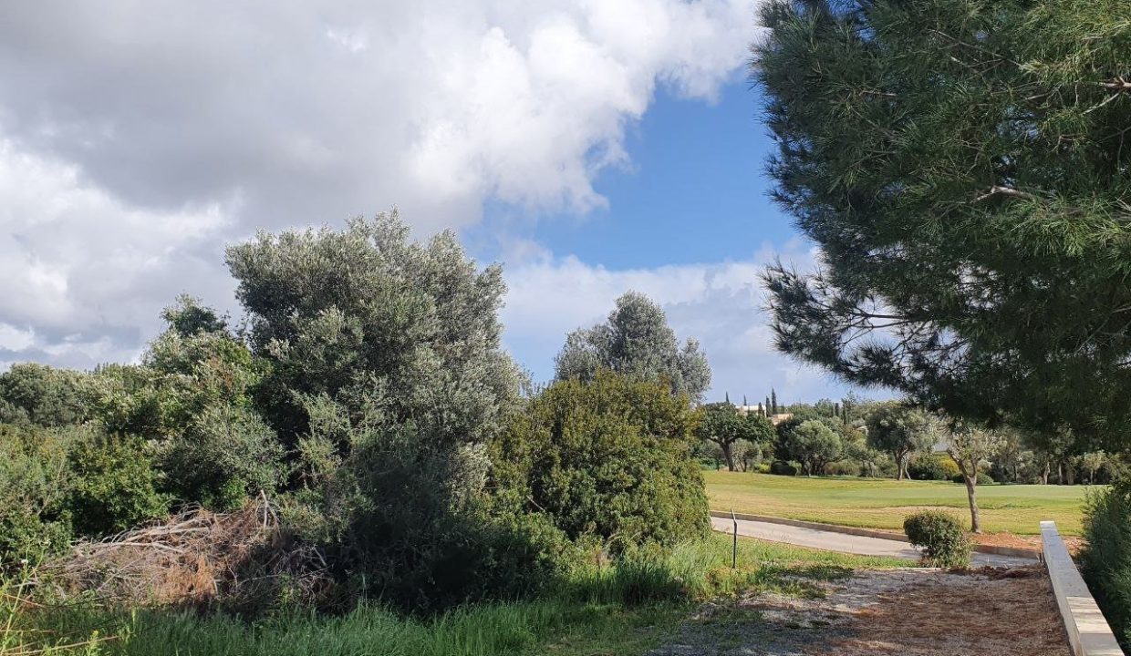 Plot For Sale - Eastern Plateau, Aphrodite Hills, Paphos: ID 1116 01 – ID 1116 - Comark Estates
