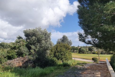 Plot For Sale - Eastern Plateau, Aphrodite Hills, Paphos: ID 1116 01 – ID 1116 - Comark Estates