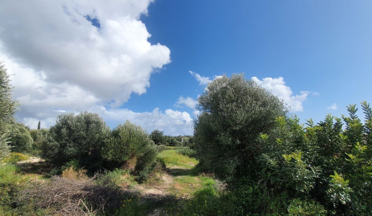 Plot For Sale - Eastern Plateau, Aphrodite Hills, Paphos: ID 1116 02 – ID 1116 - Comark Estates