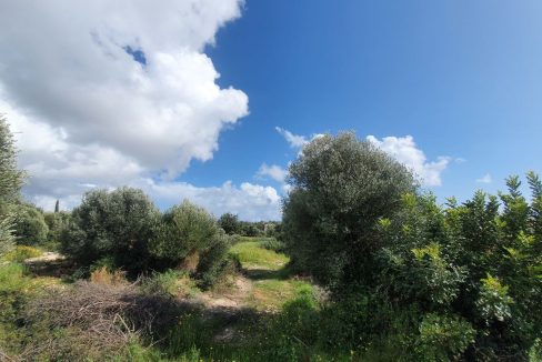Plot For Sale - Eastern Plateau, Aphrodite Hills, Paphos: ID 1116 02 – ID 1116 - Comark Estates