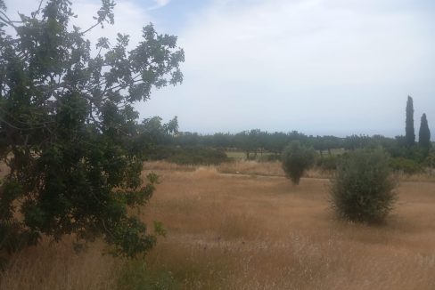 Plot For Sale - Eastern Plateau, Aphrodite Hills, Paphos: ID 1118 02 – ID 1118 - Comark Estates