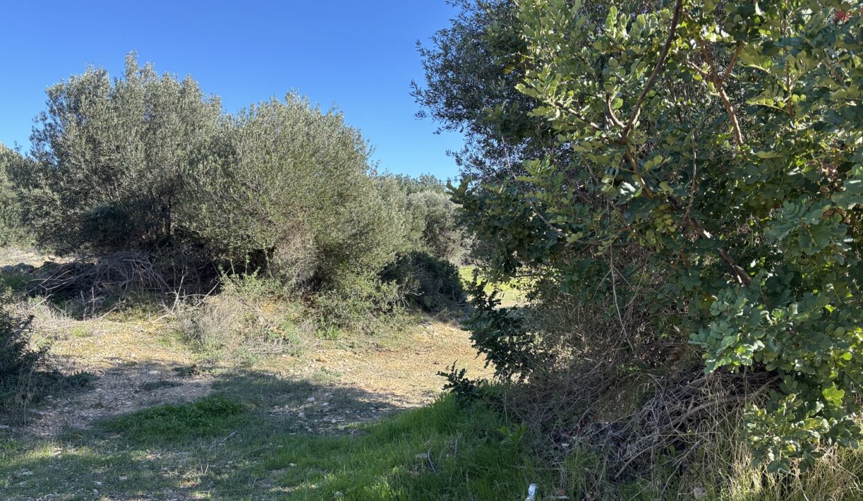 Plot For Sale - Eastern Plateau, Aphrodite Hills, Paphos: ID 1160 05 – ID 1160 - Comark Estates