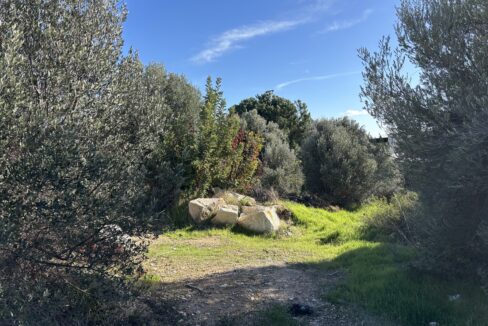 Plot For Sale - Eastern Plateau, Aphrodite Hills, Paphos: ID 1160 07 – ID 1160 - Comark Estates