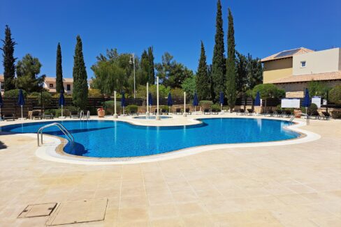 Adonis Pool