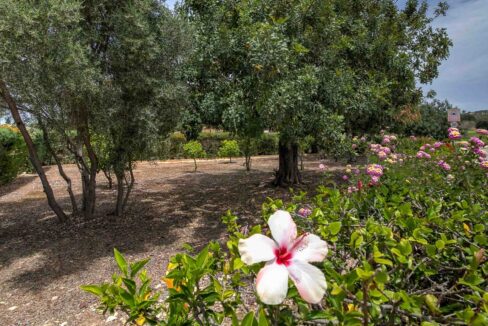 3 Bedroom Villa For Sale - Western Plateau, Aphrodite Hills, Paphos: ID 1193 21 – ID 1193 - Comark Estates
